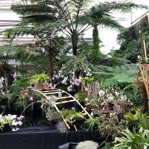 Meet your Posher, Muna